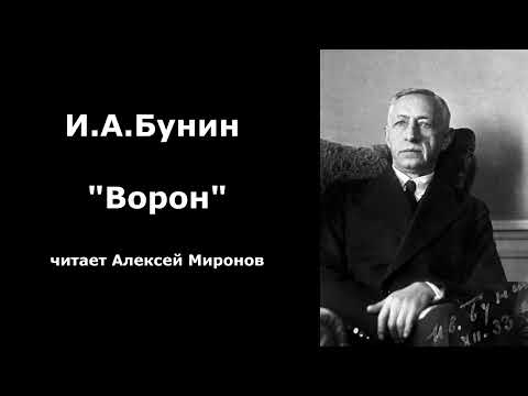 Видео: И.А.Бунин "Ворон"