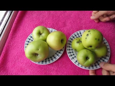 Видео: Яблоки Симиренко - мое мнение