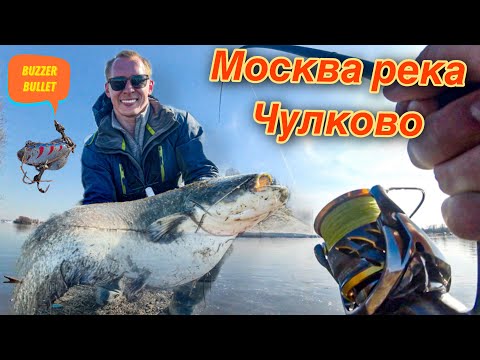 Видео: МОНСТР ИЗ МОСКВА РЕКИ! ВОТ ЭТО ПОКЛЁВКА! ЧУЛКОВО!