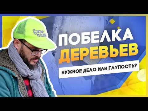 Видео: Побелка деревьев осенью: есть ли польза? Когда и зачем белить деревья