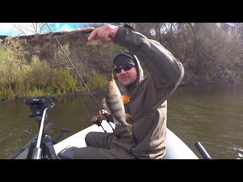 Видео: Как Где и На Что Ловить Окуня Осенью. Сезон Окуневой Рыбалки Открыт