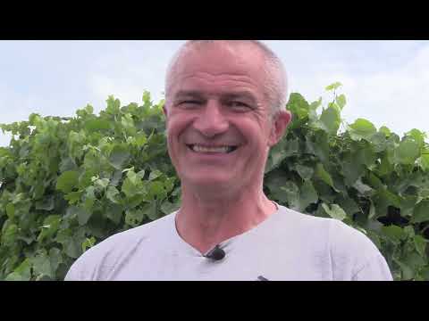 Видео: Владимир Рожнов (Раджа) - "Я настроен дальше работать..."