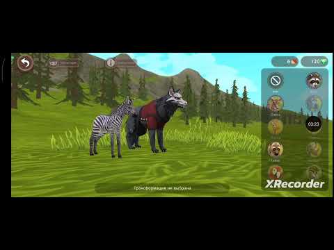 Видео: 19 октября 2025 г.