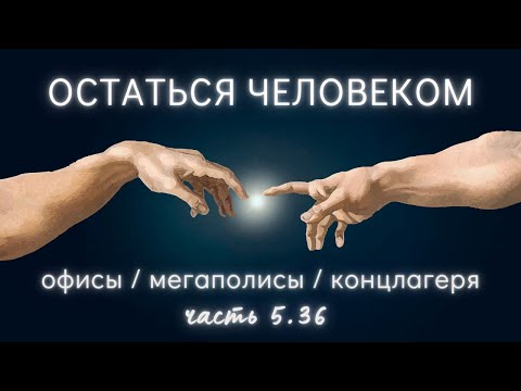 Видео: 5.36. Выжить: принципы, благочестие. Промысл. Покой. Подняться над обстановкой. Всё возвращается