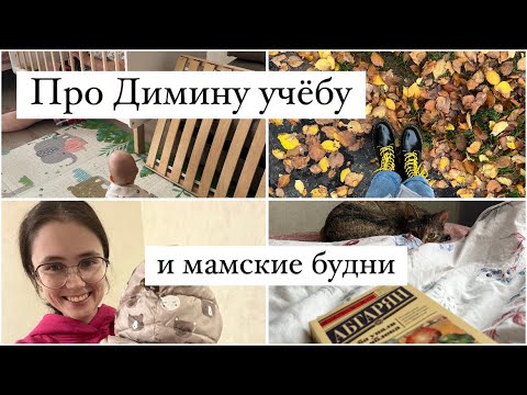 Видео: ПРО ДИМИНУ УЧЁБУ📚И МАМСКИЕ БУДНИ