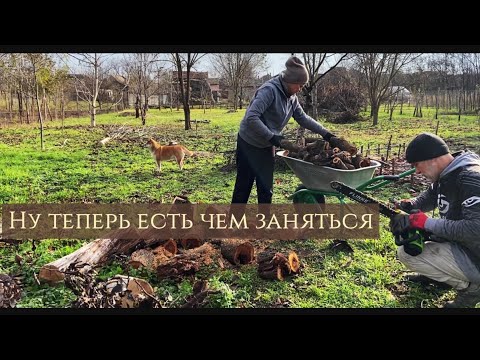 Видео: На эту зиму дров хватит?#переездвсербию #ремонтдома #жизньзаграницей