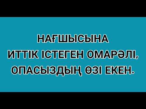 Видео: НАҒАШЫСЫНА ИТТІК ІСТЕГЕН ОМАРӘЛІ, ОПАСЫЗДЫҢ ӨЗІ ЕКЕН.