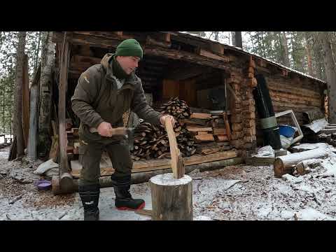 Видео: Жадная на снег зима. Налим без бура, соболь и медведя шатун.