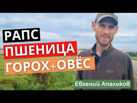Видео: Ждём рекордный урожай в этом сезоне