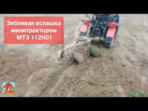 Видео: Зябливая вспашка минитрактором МТЗ 112, регулировка  самодельного плуга  #мтз #плуг #навесное