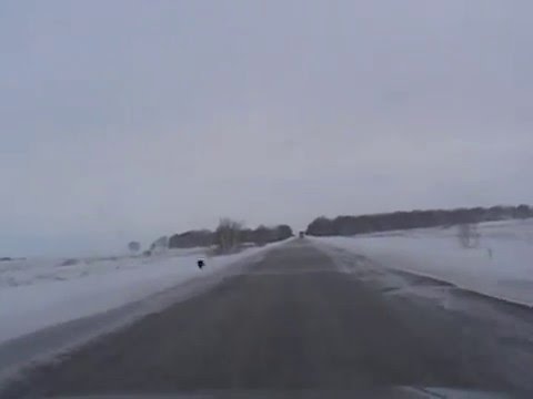 Видео: Трасса Новоишимка Рузаевка