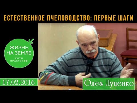 Видео: КП "Жизнь на земле". 17 февраля 2016 г. Естественное пчеловодство