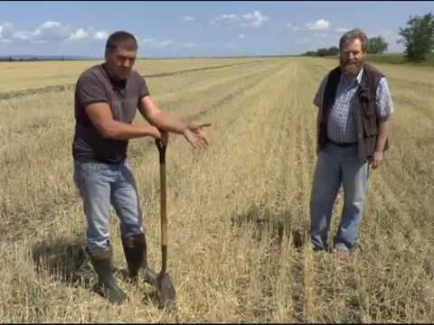 Видео: Система No-Till. Успех в Саратовской области. Выгода системы ноу-тилл