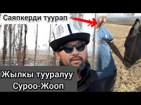 Видео: Саяпкерди туураган ВИДЕО ТАРАДЫ 😱 СУРООЛОРГО-ЖООП ЖЫЛКЫ ТУУРАЛУУ
