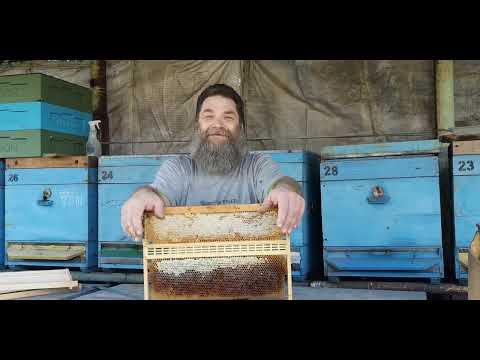 Видео: Я влюбился в этот изолятор.