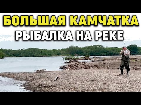 Видео: Камчатка Рыбалка на реке,ловим горбушу август 2022 Big Kamchatka, Fishing on the river