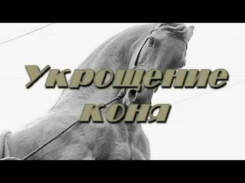 Видео: Укрощение коня. Петр Клодт @SMOTRIM_KULTURA