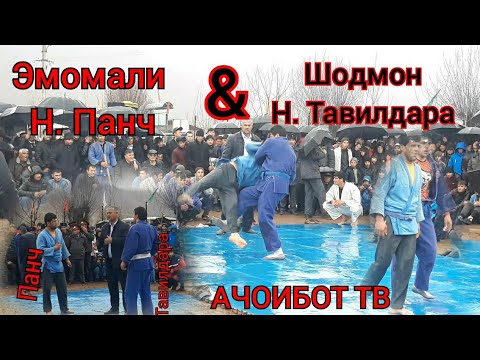 Видео: Эмомали Панч Шодмон Тавилдара гуштин дар чамоати чилдара