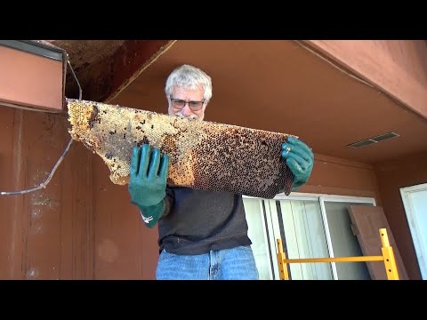 Видео: В этот раз мне достался джекпот!