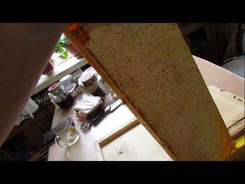 Видео: полный отказ от вощины и рамок из дерева - часть 3 - распечатка рамок и откачка меда