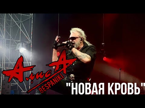 Видео: 07.06.25 - АлисА - "Новая кровь" - Наш-Ваш Выбор - Зелёный театр