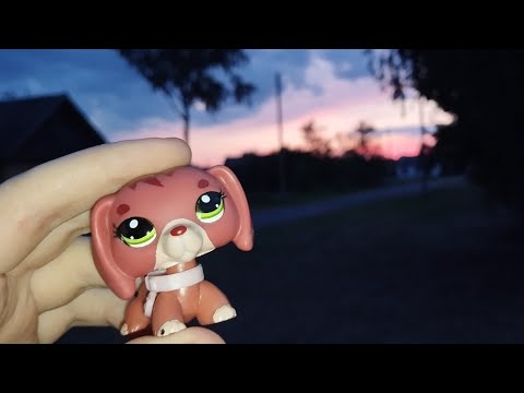 Видео: LPS - VLOG |Микашевичи|