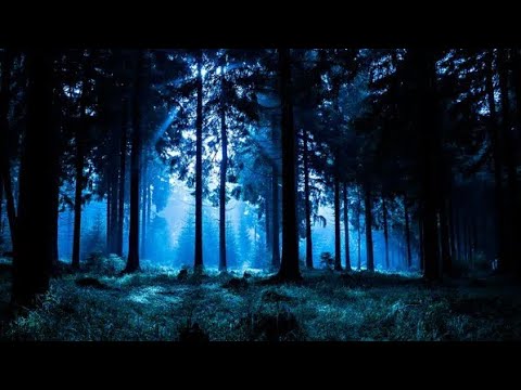Видео: Для Сна Вечерний Лес за Окном Уют Релаксация