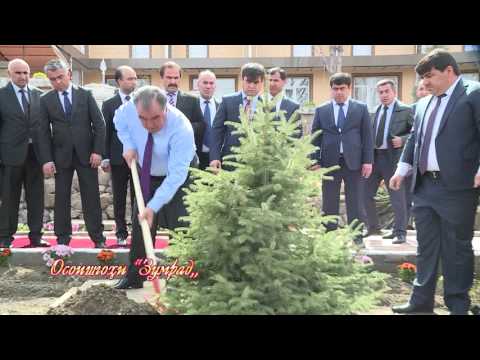 Видео: Осоишгоҳи Зумрад