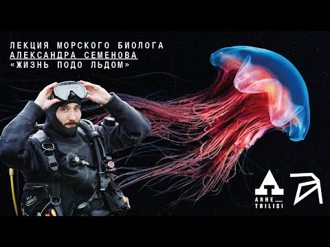 Видео: Александр Семенов: Жизнь подо льдом