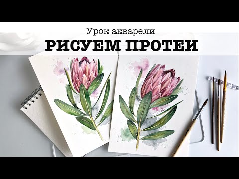 Видео: Рисуем Протеи акварелью. Бесплатный урок по рисованию