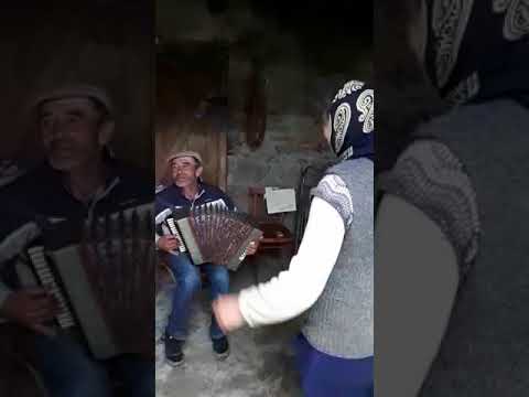 Видео: Кули барзилалу 4