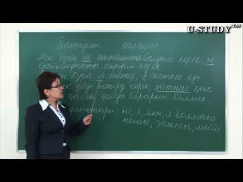 Видео: ҰБТ-ға дайындық: Талғаулы салалас