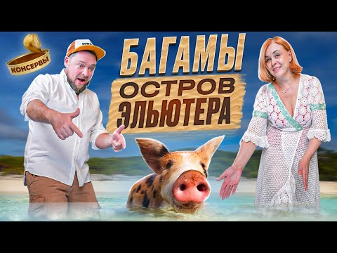 Видео: Багамы! Остров Эльютера. Полный гайд по острову