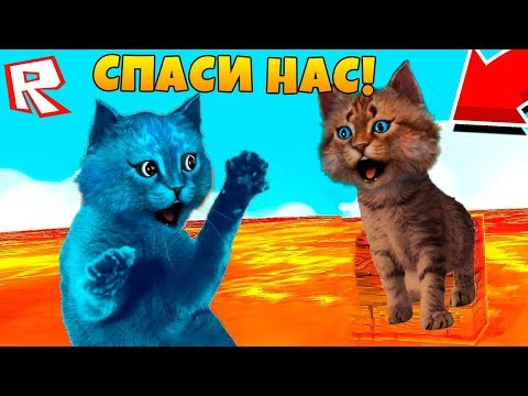 Видео: Пол это Лава в Роблокс! Котёнок Лайк против Котика Игромана / Roblox The Floor is Lava