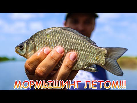 Видео: Карась, краснопёрка, судак... Всё на мормышинг! Рабочие приманки и снасть для мормо