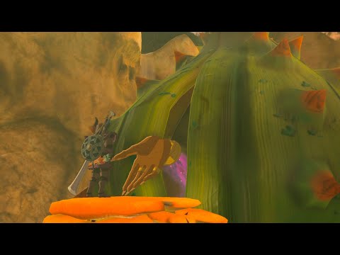 Видео: The Legend of Zelda: Breath of the Wild (NS2 Edition) - серия 23 - Древнее седло  (Мастер)