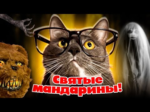 Видео: УРОК СТРАШИЛОК - ЕСЛИ БЫ КОТИКИ ХОДИЛИ В ШКОЛУ