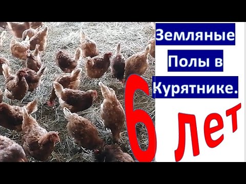 Видео: ЗЕМЛЯНЫЕ ПОЛЫ В КУРЯТНИКЕ