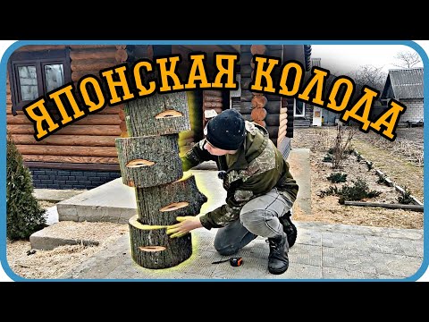 Видео: ЯПОНСКИЙ УЛЕЙ ИЗ КОЛОДЫ🐝‼️⬇️