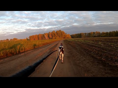 Видео: Драйленд «Тургэн Айан - 2025», Омск, Скутер, первый этап