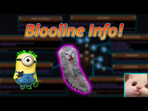 Видео: Стоит ли ценить влияние родословной?