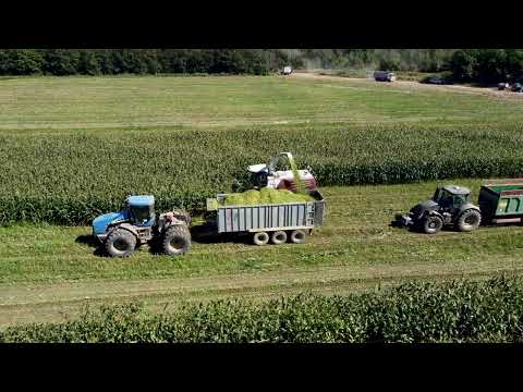 Видео: Приморский край, Уссурийский район, Уборочная силоса 2022 год