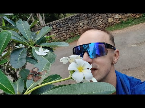 Видео: Бали. Пляж Nunggalan