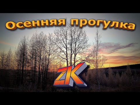 Видео: Осенняя прогулка.