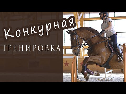 Видео: Конкурная тренировка в конном клубе. Работа на рыси и галопе. Конкурный конь.