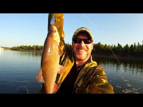 Видео: трофейная рыбалка или экспедиция в ляпин