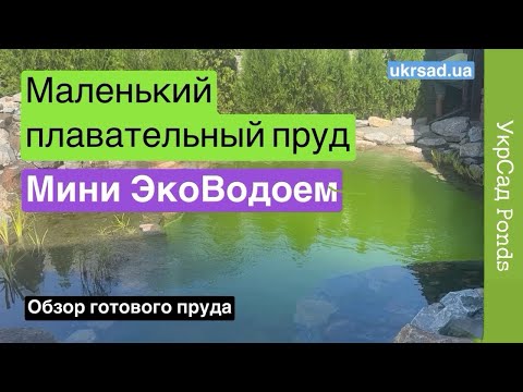 Видео: Маленький плавательный пруд. Мини ЭкоВодоем