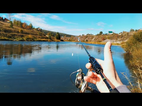 Видео: Осенний хариус на мух