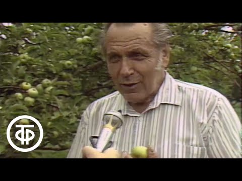 Видео: Ультрафиолет побеждает бесплодие | Помоги себе сам (1991)