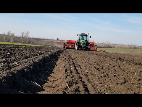 Видео: Посевная 2020 начало Сеем горох на зерно  DEUTZ-FAHR AGROFARM 115G